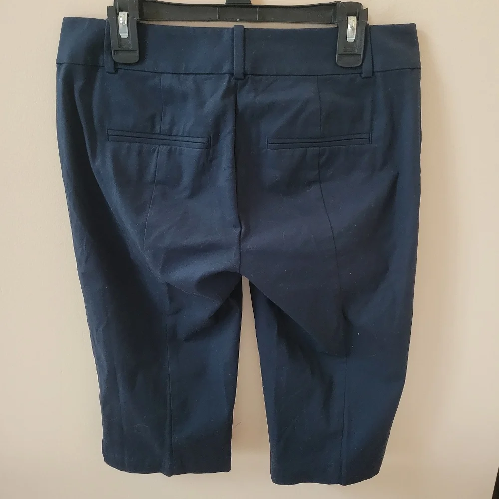 Ann Taylor Navy Blue Bermuda Shorts